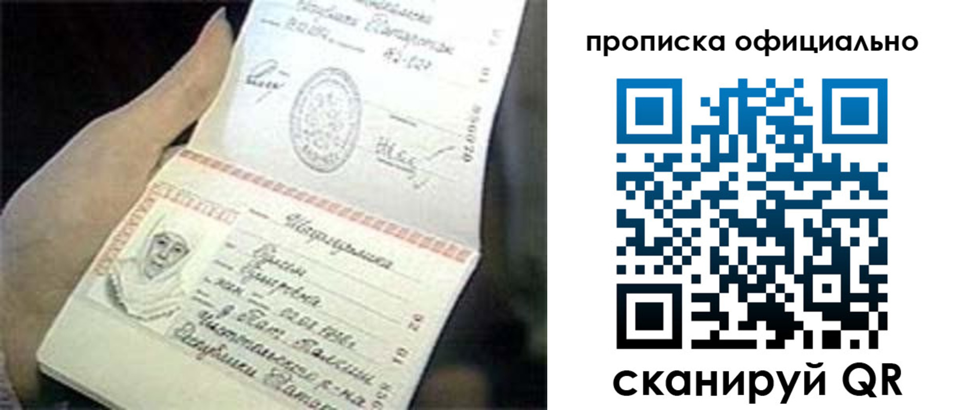 прописка поиск в Мончегорске
